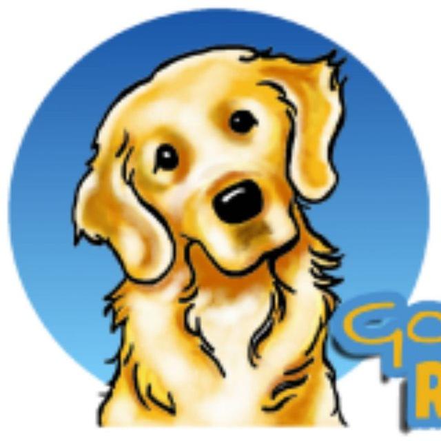 Official Golden Retriever