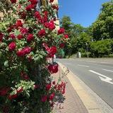 كَـلِـمَـاتْ رَاقِـيَـةٰ🌷