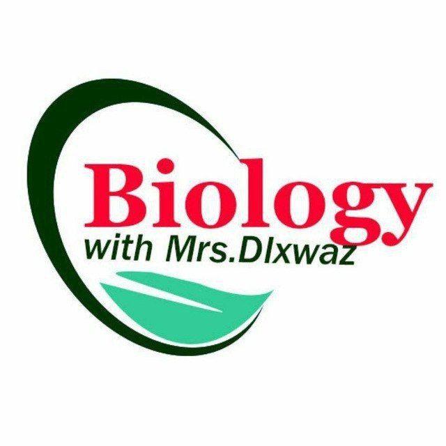 چەناڵی زیندەزانی12( م. دڵخواز شعبان)