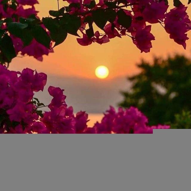 ﴿ أَلاّ تَحْزَنِي ﴾..♥️