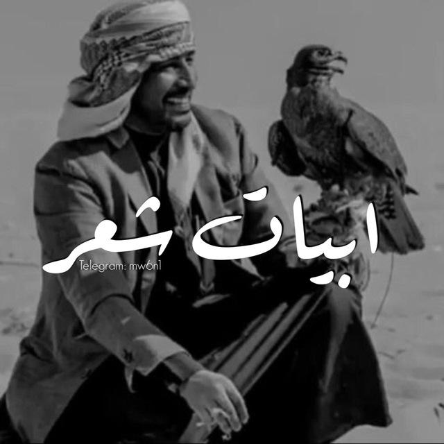 أبيات شعـر