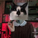Главный редактор Мр.Кот