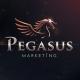 PEGASUS Marketing Çalışma Alanları