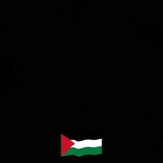 علياء عيد ..💕