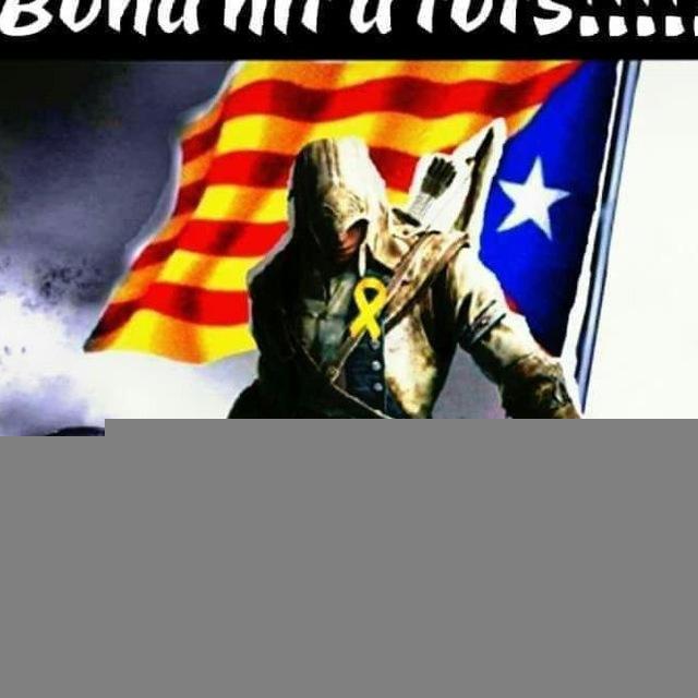 NEVER SURRENDER