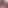 𝗧𝗲𝗠 𝗘𝗹𝗡𝗾𝗬𝗯™ ⤶ - تيم النقيب