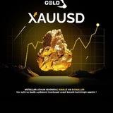 XAUUSD Gold Traders