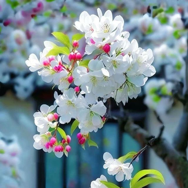 প্রাকৃতির ছোয়া..📸🌿
