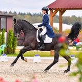ash.dressage