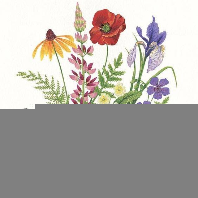 inkerbell. дневник художницы