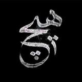 زوايا الحواشي (شريف)