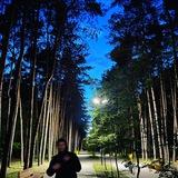 карат