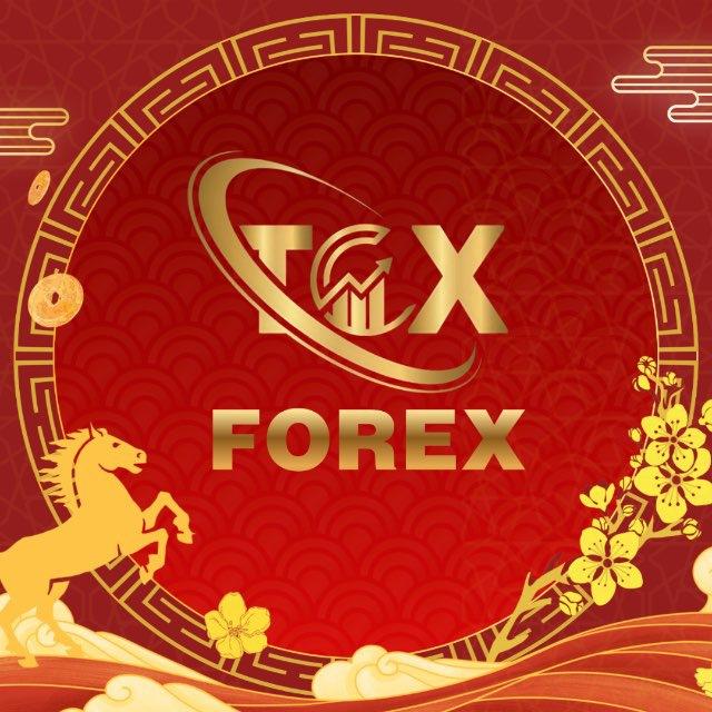 TCX FOREX BACKCOM100%