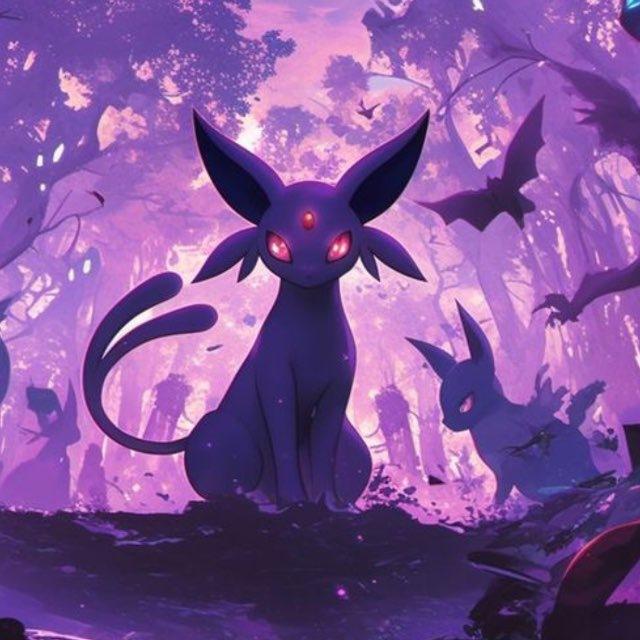 Evee cook’s