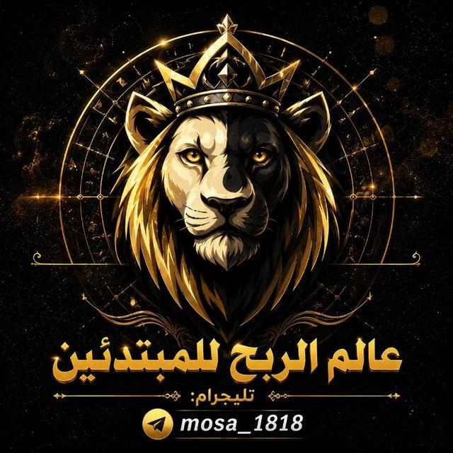 عالم الربح للمبتدئين