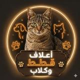 『🐾 أعلاف قطط وكلاب 🐾』