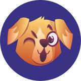 ВЫСТАВКИ СОБАК "ВРЕМЕНА ГОДА" 🐩