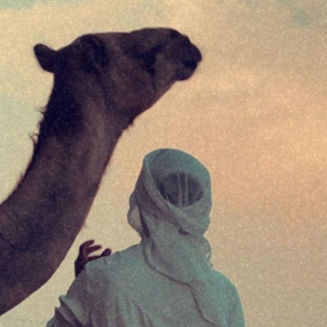 صدفهۂ عشقتهۂ⚕