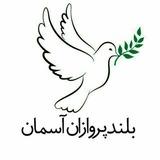 بلند پروازان آسمان