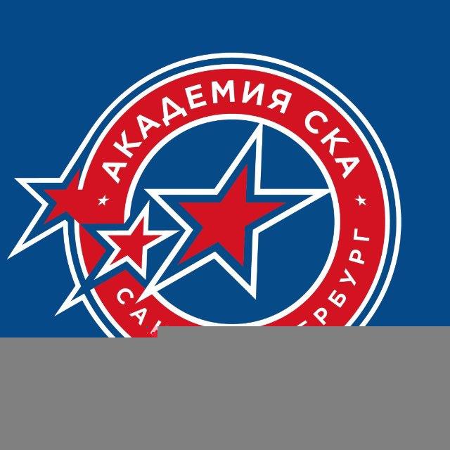 Академия СКА