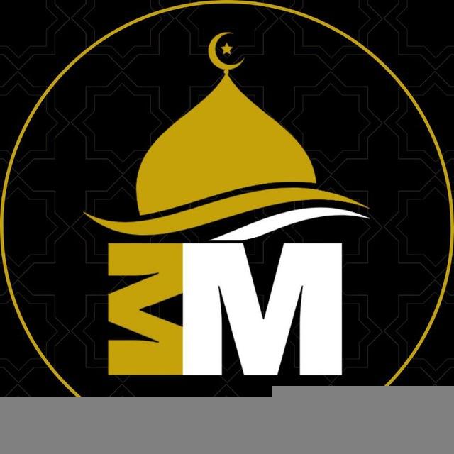 3M - أحكام العملات