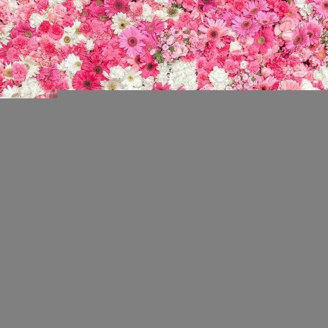 🍃🌸هم فرکانس ها🌸🍃