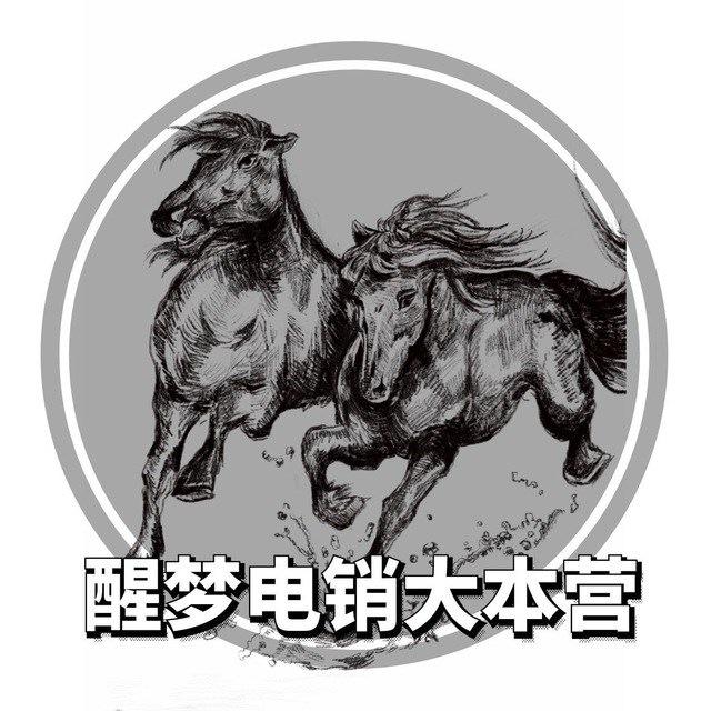 醒梦电销大本营