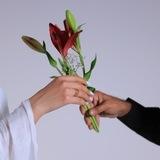 بِيسَانْ.