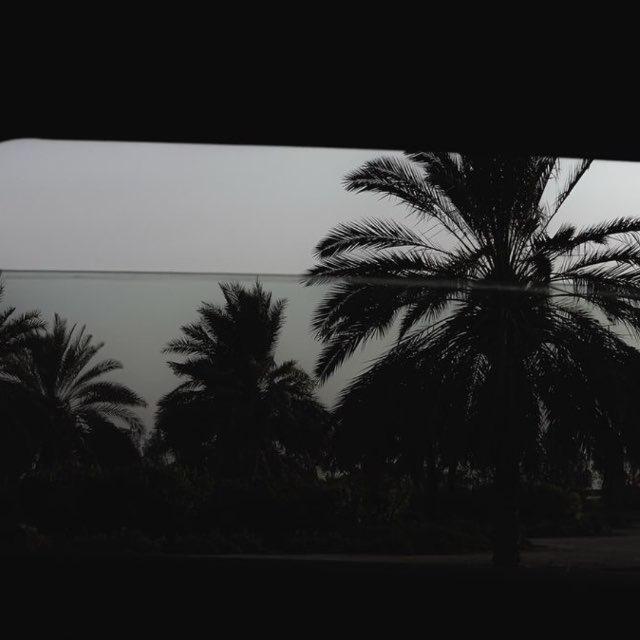 ᷂هُـوجاس