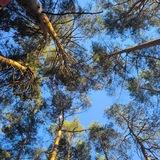 Северный Кунсангар