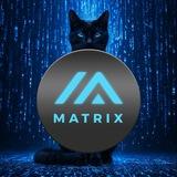 Matrix Pay