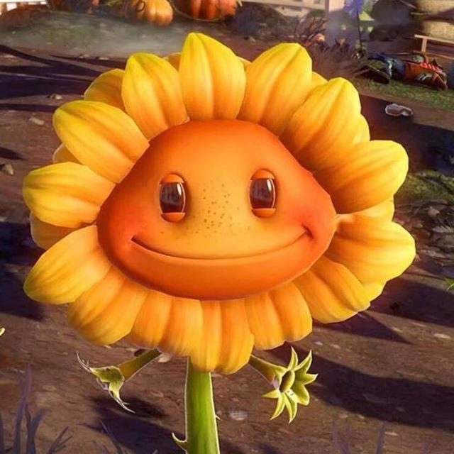 uiui Rust