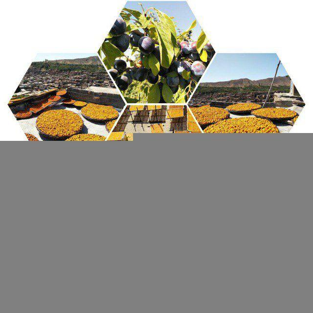 کانال خبری پیام خور