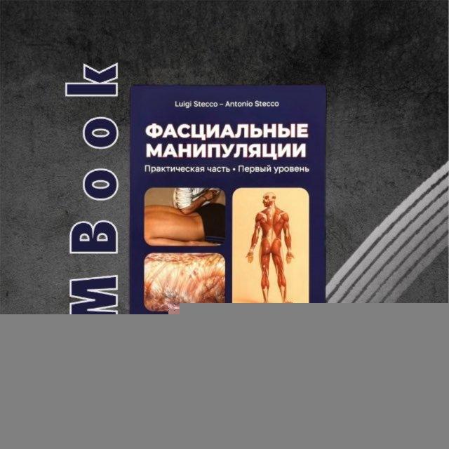 FMbook | Stecco