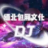 缅北包厢文化DJ