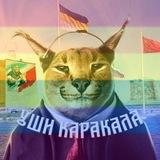 Уши Каракала 🅉🇷🇺🐍 #ВернитеДетямРадугу