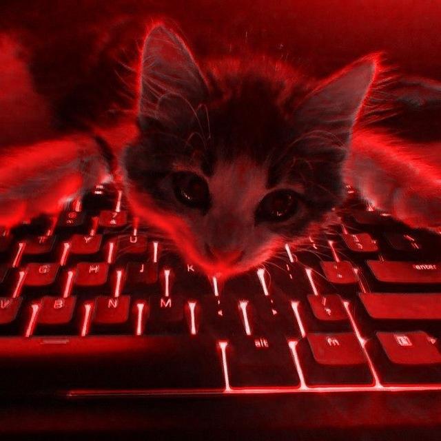 𝑳𝑼𝑵𝑨 𝑨𝑲𝑻𝑼𝑨𝑳
