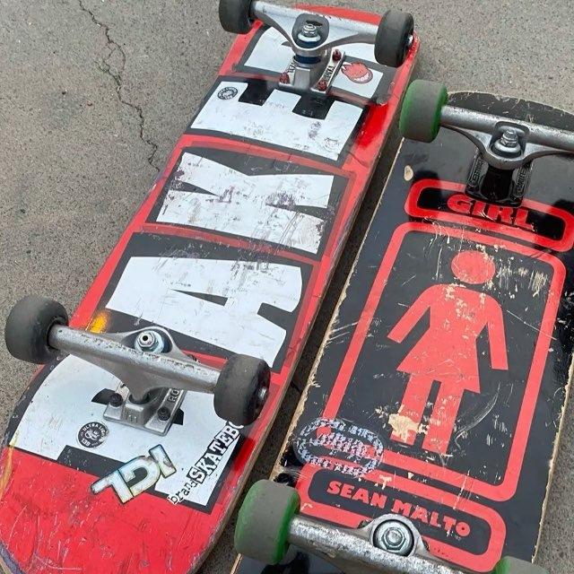 ollie 🤍
