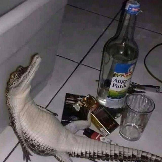 𝖑𝖎𝖋𝖊 𝖜𝖎𝖍𝖔𝖚𝖙 𝖑𝖔𝖛𝖊🔥