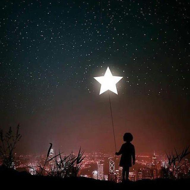 ستاره شمالی