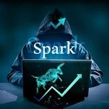 🔸🔸spark_Option🔸🔸