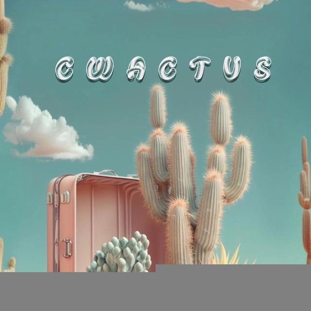 🌵کاکتوس🌵