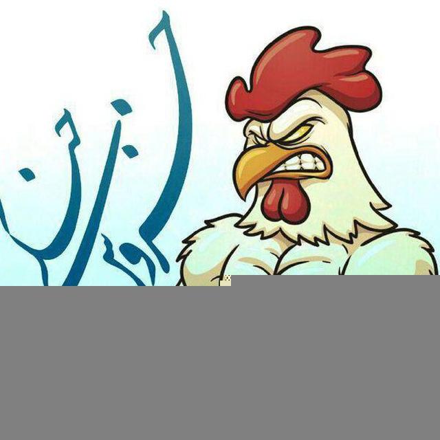 🐓 خروس جنگی🎃