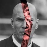 Realzidanenews