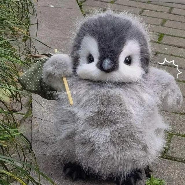 ShyPxnGuin 🐧