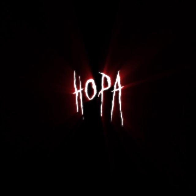 Группа НОРА🏴‍☠️