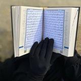 السلفية غُندرة 🐚🪡