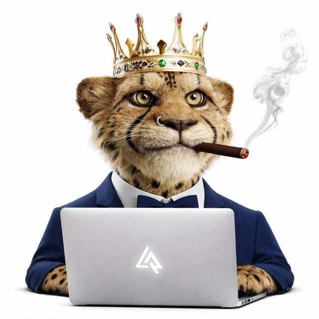 LITVA навещает | LIVE RUSSIA