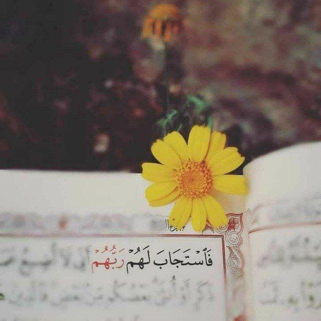 يَكادُ يُضِيء ||°