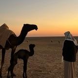 تَ